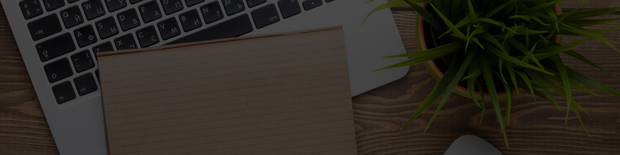 A notepad, laptop, and plant on a wooden desk.