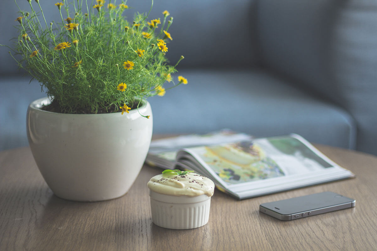 A cozy table scene with a potted plant, cupcake, phone, and magazine.